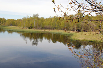 Red Moor, Moor, Hesse, Germany, Europe