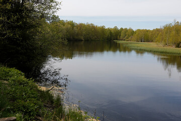 Red Moor, Moor, Hesse, Germany, Europe