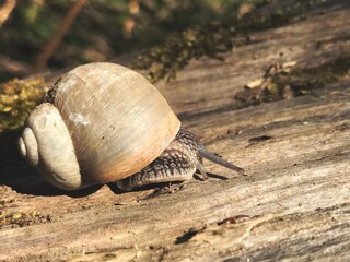 
The details of the truth are hidden in every detail