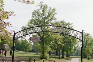The Park on a Sunny day in the summer