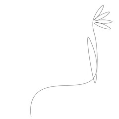 Flowers isolated on white background. Continuous line drawing. Vector illustration