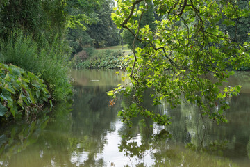Teich, umrandet von frischen grünen Blättern und Gras in einer grünen Parklandschaft mit verschiedenen Bäumen