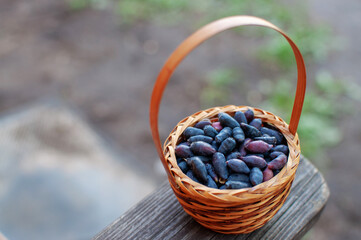 basket with berries on the step
