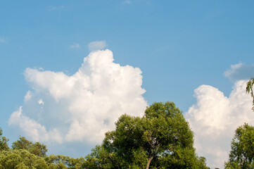 Obraz premium thick white clouds in the sky