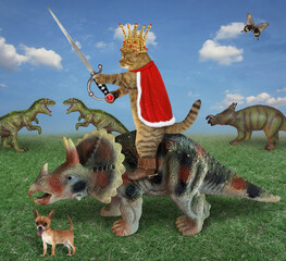 The beige cat king in a red cloak, a gold crown and boots with a sword with a ruby is riding a war triceratops in the field where other dinosaurs are grazing. His squire is next to him. © iridi66