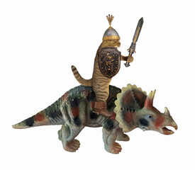 The beige cat knight in a boots and a helmet with a sword and a shield is riding a war triceratops. White background. Isolated.