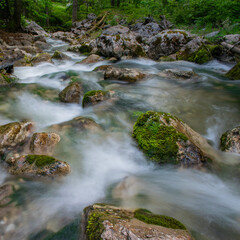 Fototapeta na wymiar Ein kleiner Fluss in Österreich