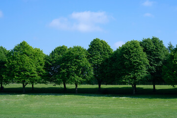 Landscape of green grass field with beautiful blue sky in hot sunny day, Beautiful view day time view at countryside in England in Summer