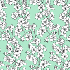 Wildflowers seamless floral pattern. linear hand drawing. Summer time, flowering. For paper, cover, fabric, gift wrap, wall art, home decor