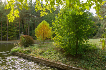 Autumn tree picturesque lake landscape, Sofievka park, Ukraine, Uman