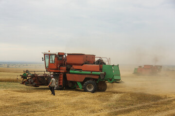 Harvester in the field harvests grain crops. Ukraine