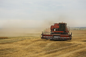 Harvester in the field harvests grain crops. Ukraine