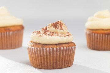 Tiramisu cupcake decorated with cocoa on white background homemade lactose free