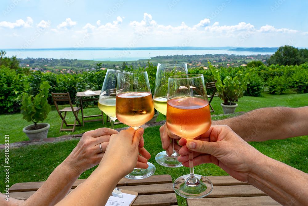 Wall mural toast with wine in a vineyard bar with a nice view of lake balaton on a nice summer day with family 