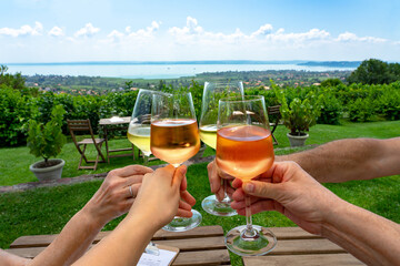 toast with wine in a vineyard bar with a nice view of Lake Balaton on a nice summer day with family friends - obrazy, fototapety, plakaty