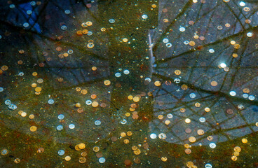 Coins at the wishing well