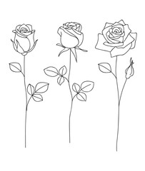 Set of decorative hand drawn roses isolated on white. Flower icon. Vector illustration - obrazy, fototapety, plakaty