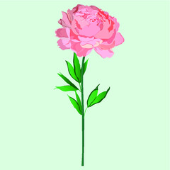 Hand drawn pink floral vector on dusky blue isolated background. 