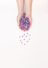 Concept of hand care, anti-wrinkle, anti-aging cream, Spa. Beautiful female hands with lilac flowers on a white background, top view, free space for text.