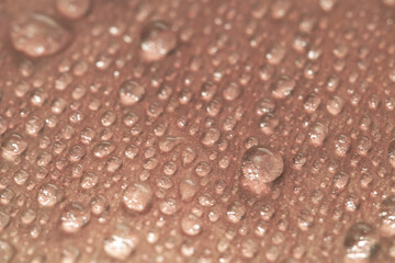 Gentle pale rose petal with different raindrops wet leaf macro wallpaper