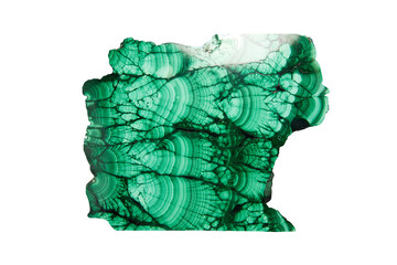 Malachite isolated on white background. Polished natural slab of green malachite mineral gemstone.
