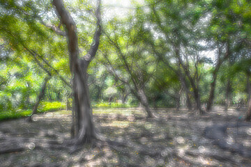 Green trees, abstract, blurred background with bokeh