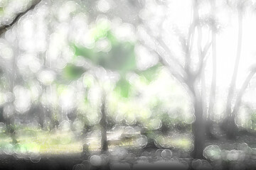 Green trees, abstract, blurred background with bokeh