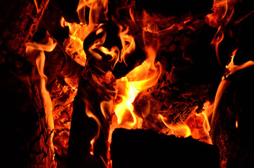 Flames of natural fire in nature while camping