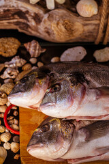 pescado fresco sobre tabla de madera con decoraciones de mar