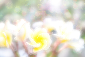 Abstract flower yellow background