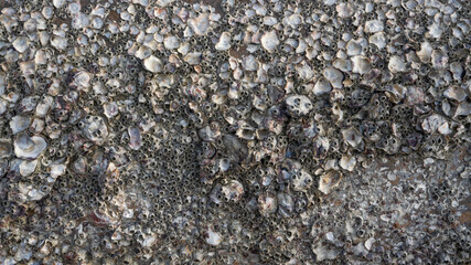 black and white stone wall