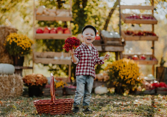 Cute blond little boy in cap and squared autumn shirt posing with ash berry at the open market place.