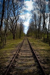 Fototapeta premium railway in the woods