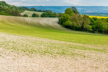 Agricultural Fields just outside of Maidstone in Kent