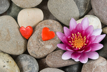 Fototapeta na wymiar image of a lotus on stones and stylized two hearts
