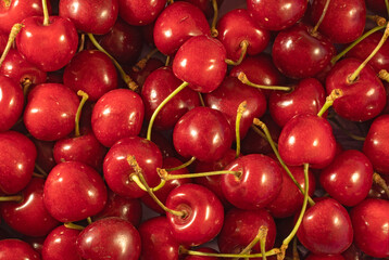 image of a lot of sweet ripe sweet cherries close-up