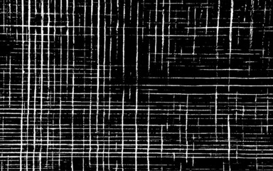 Slim lines texture. Parallel and intersecting lines abstract pattern. Abstract textured effect. Black isolated on white background.Vector illustration. EPS10.