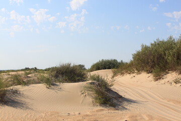 sand dunes on the beach