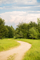 City park with trees and paths for walks
