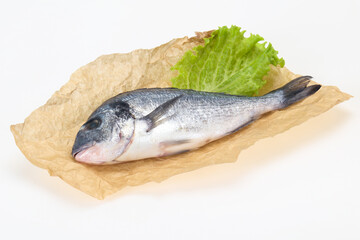 Raw Dorada fish  for cooking