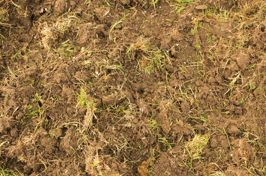 Soil texture background. Top view soil . Dug soil.