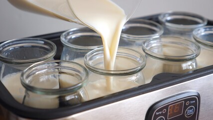 Pouring Soy Milk With Bacteria Cultures Into Yogurt Maker. Close-Up.