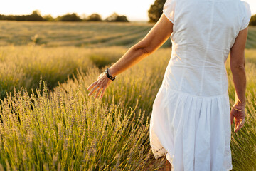 Fototapeta na wymiar Beautiful woman in a white dress walks in the lavender field