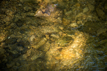 City park with trees and paths for walks