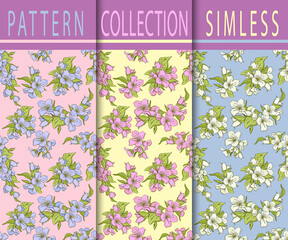 Seamless pattern with decorative jasmine flowers.