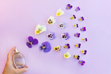 Fragrance, scent, perfume spray bottle in hand, fresh floral aroma and flowers, colorful petals on pink, purple background. Concept.