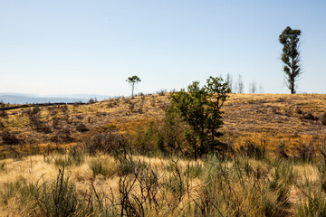 drought fire stricken deserted field 