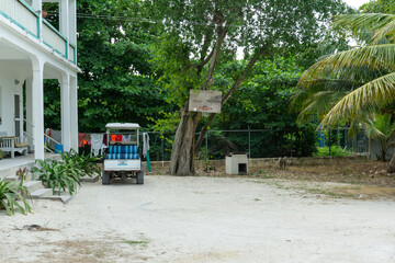 Homemade basketball net on tree in Belize