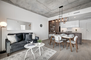 Brand new luxury Canadian style furnished and staged apartment in condominium with kitchen, bathroom, bedroom, lobby, hall, reception room and gym