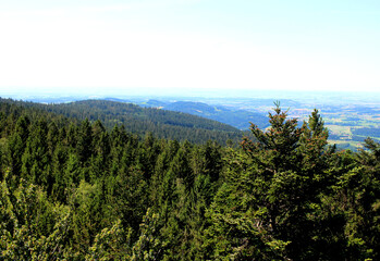 Panorama Aussichtspunkt im Bayerischen Wald mit Ausblick auf die schöne Landschaft, die Berge und Natur mit dichtem Tannen Nadelwald bei Sonnenschein und blauem Himmel